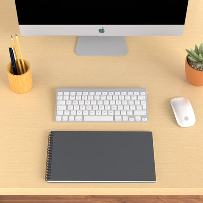 Plana Classic Stone on a wooden desk with a computer, pen holder, and plant